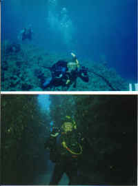 Scuba Jeff.JPG (33121 bytes)